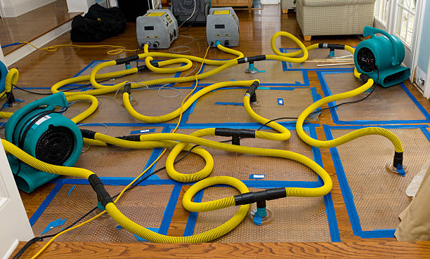 Professional Storm Water Damage Restoration technician working in White Oak, OH